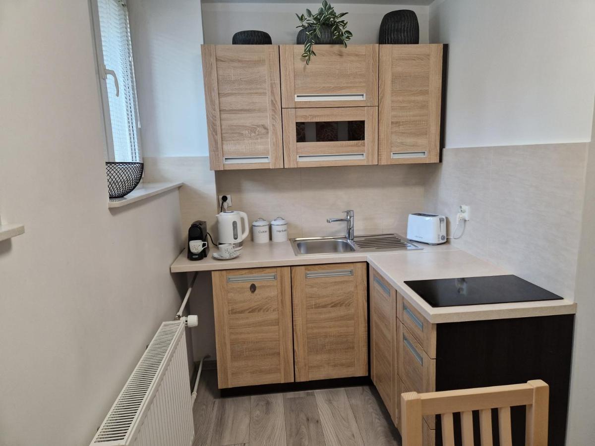 Apartament W Srodmiesciu Σάνοκ Εξωτερικό φωτογραφία